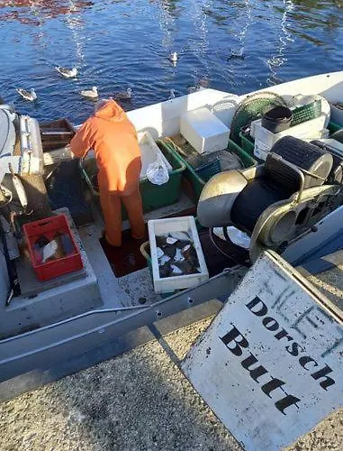 Im Bademantel An Den - Mit Terrasse *